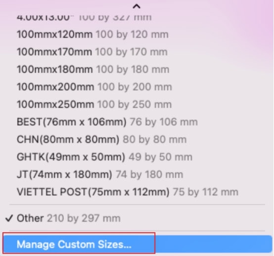 Select "Manage Custom Sizes"