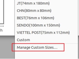 select “Manage Custom Sizes…”